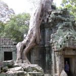 Visions of the Temples of Angkor