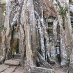 Visions of the Temples of Angkor